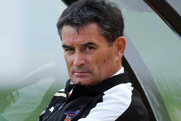 Adam Rado Rado anticipates change of Roar luck - A-Leagues