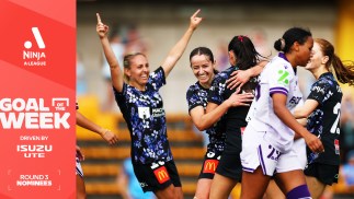 Isuzu UTE Goal of the Week nominees, Round 3 Ninja A-League: Pick your winner TODAY!