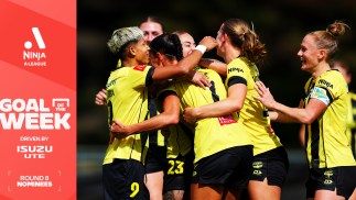 Isuzu UTE Goal of the Week nominees, Round 8 Ninja A-League: Pick your winner TODAY!