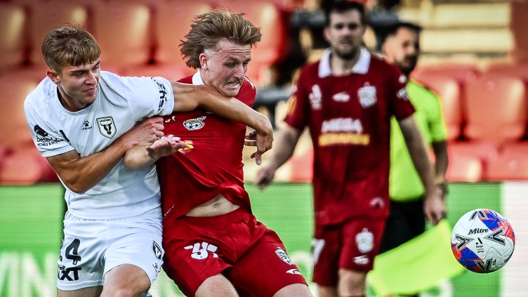 Adelaide and Macarthur share the spoils in entertaining draw in the heat