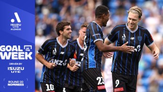 Isuzu UTE Goal of the Week nominees, Round 20 Isuzu UTE A-League: Pick your winner TODAY!