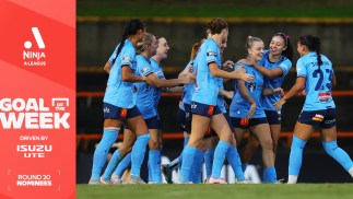 Isuzu UTE Goal of the Week nominees, Round 20 Ninja A-League: Pick your winner TODAY!