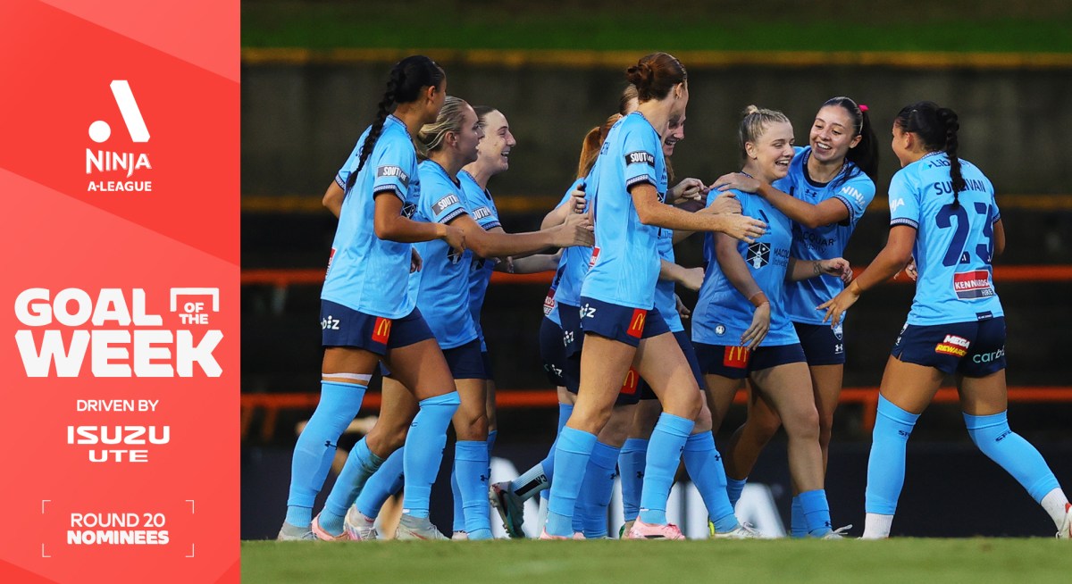 Đề cử Bàn thắng đẹp nhất vòng 20 A-League: Bạn chọn ai?