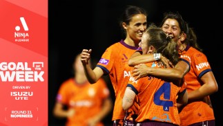 Isuzu UTE Goal of the Week nominees, Round 21 Ninja A-League: Pick your winner TODAY!