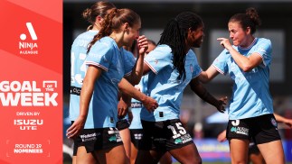 Isuzu UTE Goal of the Week nominees, Round 19 Ninja A-League: Pick your winner TODAY!