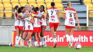 Wellington back to their best against Brisbane