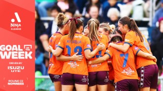 Isuzu UTE Goal of the Week nominees, Round 22 Ninja A-League: Pick your winner TODAY!