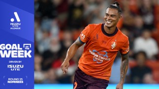 Isuzu UTE Goal of the Week nominees, Round 25 Isuzu UTE A-League: Pick your winner TODAY!