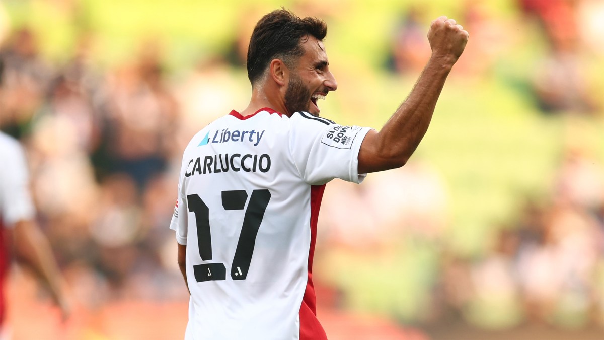 Jarrod Carluccio signs new two-year deal with the Wanderers Jarrod Carluccio signs new two-year deal with the Wanderers