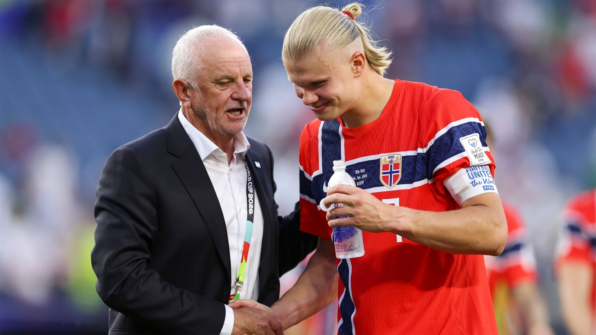 FIFA World Cup, Erling Haaland, Highlights FIFA World Cup, Erling Haaland, Highlights